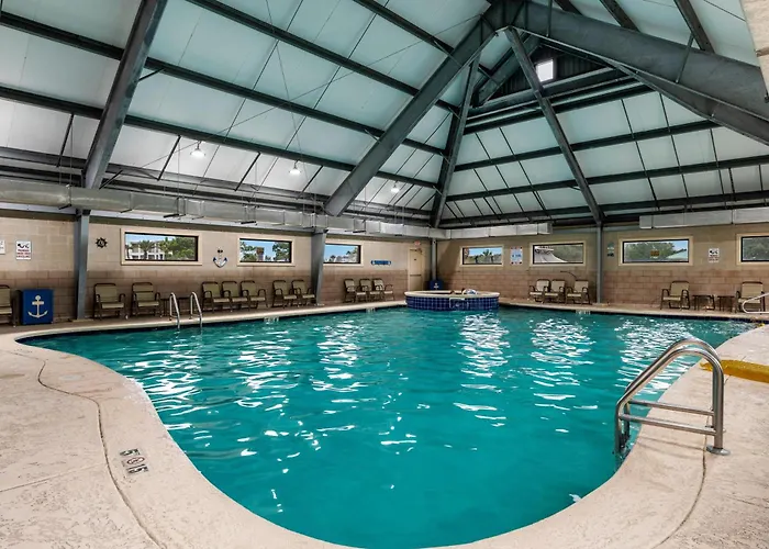 6201 Plantation-palms *